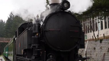 Buharlı lokomotif - buharlı tren Sila. Camigliatello Silano İtalya 02.02.2025