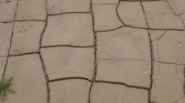 Kavurucu güneşin altında nehir yatakları çatlıyor, arkalarında kurumuş, kavrulmuş toprak bırakıyorlar. İklim değişikliği doğal kaynakların korunmasının önemini vurguluyor.