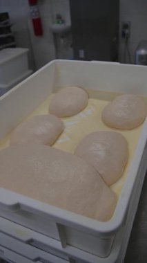 Porsiyon hamuru tartıldıktan ve bölündükten sonra konteynırlarda duruyor. Hamur yükselir ve pişirmeye hazırdır. Profesyonel bir fırında ekmek yapma sürecinde önemli bir adım.