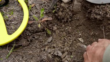 Metal dedektörü. Eski bir eserin yakın çekimi. Karmaşık oymalar uzun zaman önce unutulmuş bir medeniyete işaret ediyor. Kalıntı, topraktan yeni çıkarılmış bir hazine avcısının ellerinde dikkatlice yatıyor..