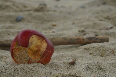 Kısmen yenmiş kırmızı bir elma kumlu bir plajda yatıyor. Yakın çekim, doğal ışık, kusur, terk etme ya da insan varlığı arasındaki zıtlık kavramı..