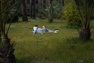 Birbirine yaslanmış, palmiye ağaçlarıyla çevrili kitap okuyan bir çift parkta çimlerin üzerinde uzanır..