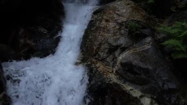 Şelale Şelalesi. Dağ Peçesi Fısıltısı. Bu nefes kesen dron görüntüsü dağların ortasındaki yoğun bir ormanın derinliklerinde çağlayan bir şelale gösteriyor..