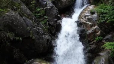 Şelale Şelalesi. Dağ Peçesi Fısıltısı. Bu nefes kesen dron görüntüsü dağların ortasındaki yoğun bir ormanın derinliklerinde çağlayan bir şelale gösteriyor..