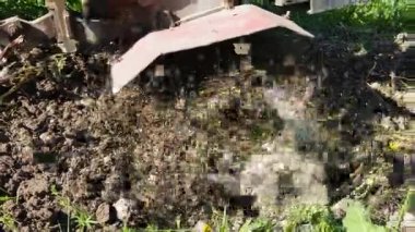 Bir ekiciyle bahçe toprağı sürmek. İnsan eliyle işletilen bir ekici, sebze ekmeye ve fideleri ekmeye hazırlanarak bahçe toprağını gevşetiyor..