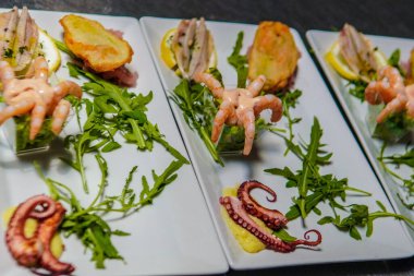 Deniz kenarındaki bir restoranda servis edilen soğuk deniz ürünleri aperatifleri. Okyanus manzaralı ve ambiyanslı bir kıyı ortamında sunulan taze kabuklu deniz ürünleri ve deniz ürünleri..