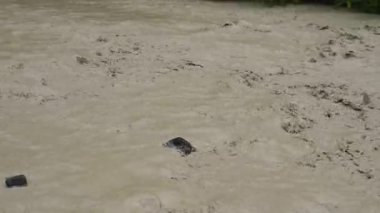 Kahverengi nehir yağmurdan sonra akar. Dağlardaki şiddetli yağmurlardan sonra, dağ nehri çamurlu ve hızlı bir akıntıya dönüştü. Şiddetli yağmurlar ani bir su artışına neden oldu, toprağı taşıyarak..