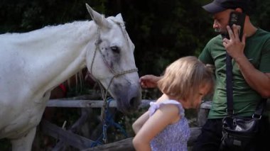 At binme, at binme. Güney İtalya 'da Bivongi, Reggio di Calabria yakınlarındaki yerel bir çiftlik tarafından organize edilmiş. 22.06.2025 eyerli atlar, kovboy şapkaları. Calabria 'nın pitoresk bölgesinde olay, turizm