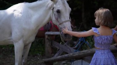 At binme, at binme. Güney İtalya 'da Bivongi, Reggio di Calabria yakınlarındaki yerel bir çiftlik tarafından organize edilmiş. 22.06.2025 eyerli atlar, kovboy şapkaları. Calabria 'nın pitoresk bölgesinde olay, turizm