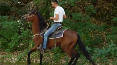 Dans eden at ve binici. Bivongi, Reggio Calabria 06.22.2025 eyerli atlar, kovboy şapkaları. Calabria 'nın pitoresk bölgesinde olay, turizm