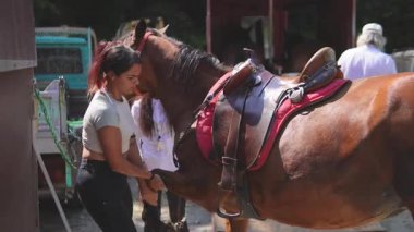 At binme, at binme. Güney İtalya 'da Bivongi, Reggio di Calabria yakınlarındaki yerel bir çiftlik tarafından organize edilmiş. 22.06.2025 eyerli atlar, kovboy şapkaları. Calabria 'nın pitoresk bölgesinde olay, turizm