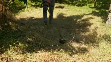 Petrol makası ile çimleri biçmek. Güçlü bir benzin makası ile kuru otları temizlemek rutin bahçe bakımı sırasında filme alındı. Bahçıvan aşırı büyümüş kuru otları kesmek için bir benzin makası kullanıyor..