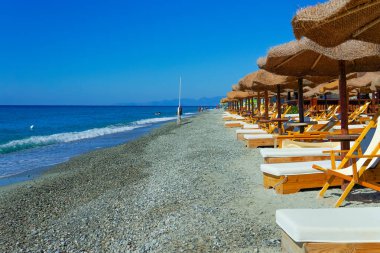 Palmiye ağaçları, sahil barı, deniz kenarında güneş pansiyonları ve şemsiyeleri olan tropik bir sahil. Güney sahilinde yaz tatili.