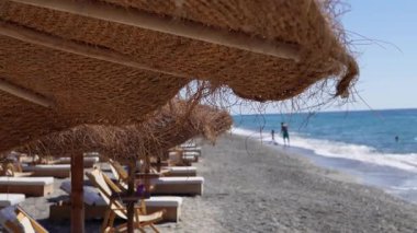 Palmiye ağaçları, sahil barı, deniz kenarında güneş pansiyonları ve şemsiyeleri olan tropik bir sahil. Güney sahilinde yaz tatili.