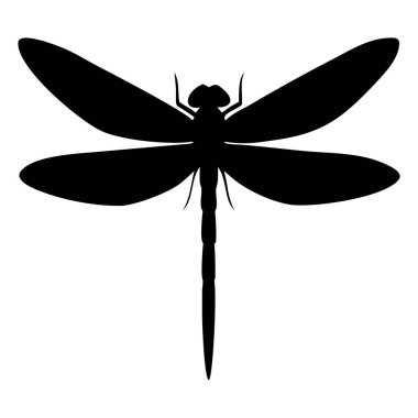 Beyaz arka planda Dragonfly Simgesi. Siluet sanat tasarımı.