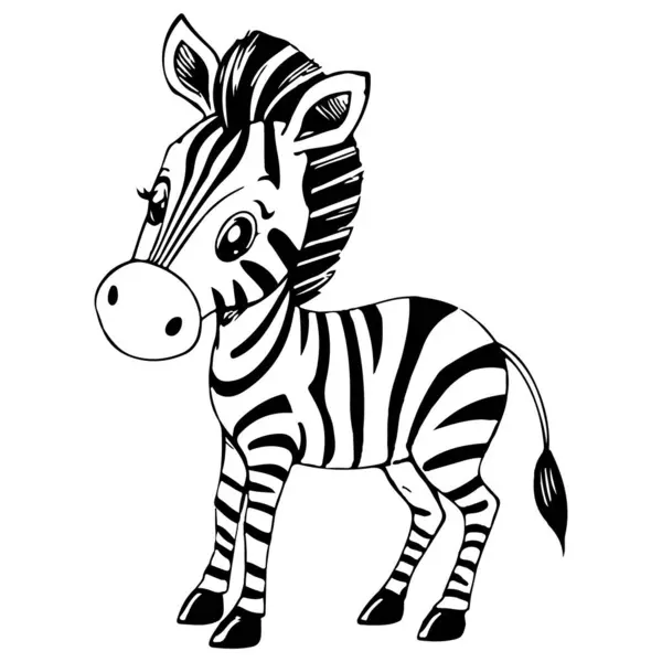 Şirin Zebra çizgi film hayvanı siyah beyaz vektör sanat çizimi.
