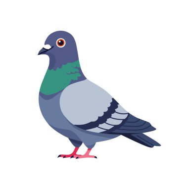 Güvercin kuşu ikonu. Beyaz arkaplanda izole edilmiş web tasarımı için güvercin vektör simgesinin izometriği