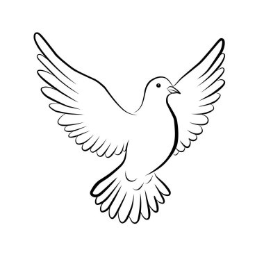 güvercin kuş barış simgesi vektör illüstrasyon tasarımı