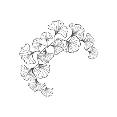 Çiçekli Ginko deseninin vektör çizimi