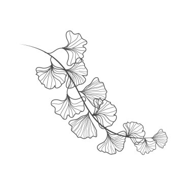 Tasarımınız için el çizimi çiçek ögesi, vektör illüstrasyonu