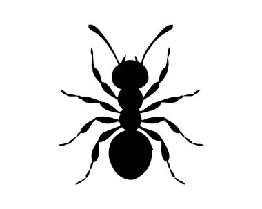 Karınca Simgesi Vektör İllüstrasyonu. Beyaz Arkaplanda İzole Edilmiş. 