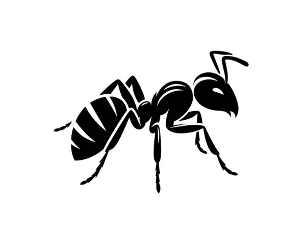 Karınca Simgesi Vektör İllüstrasyonu. Beyaz Arkaplanda İzole Edilmiş. 