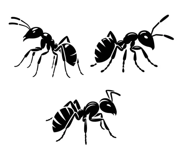 Karınca Simgesi Vektör İllüstrasyonu. Beyaz Arkaplanda İzole Edilmiş. 