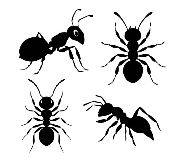 Karınca Simgesi Vektör İllüstrasyonu. Beyaz Arkaplanda İzole Edilmiş. 