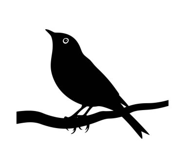 Beyaz arkaplanda kuş siluetleri vektör çizimi izole edildi