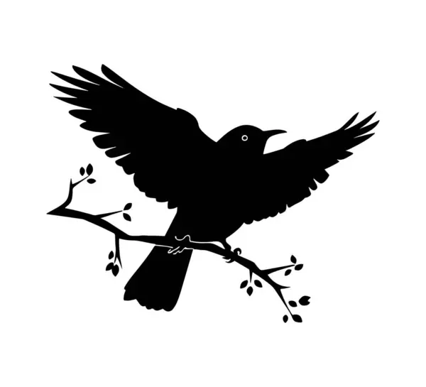 Uçan Kuş silueti vektör çizimi beyaz arkaplanda izole edildi