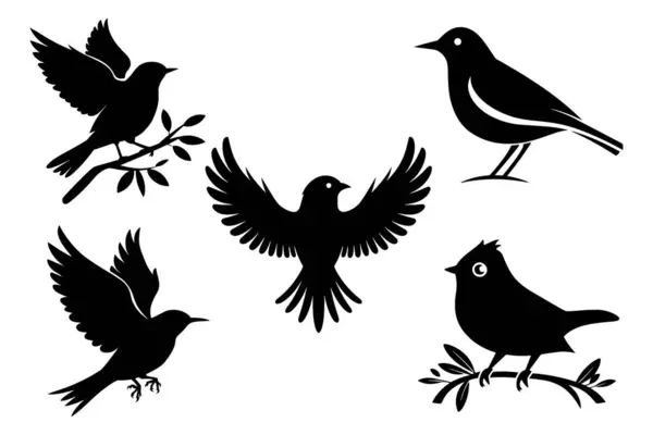 Kuş koleksiyonu siluet vektörü simge illüstrasyonu beyaz arkaplanda izole edildi