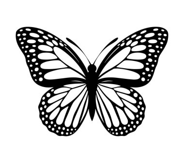 Kelebek silueti simgeleri Vektör Resimleri 