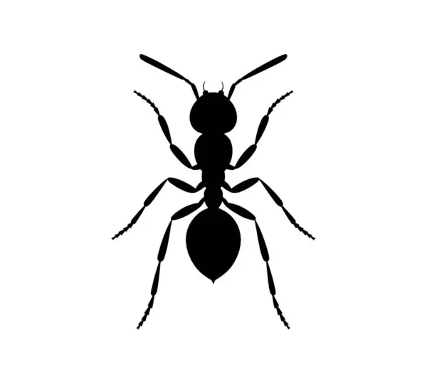 Karınca silueti simgeleri Vektör Resimleri