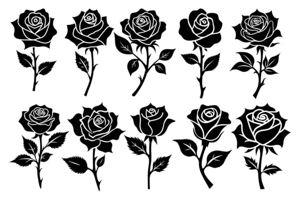 Gül Çiçeği Silüet Simgeleri Vektör Resimleri Koleksiyonu