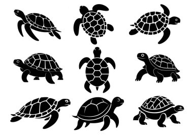 Kaplumbağa vektör silueti çizimi. Beyaz arkaplanda deniz kaplumbağası vektör silueti çizimi