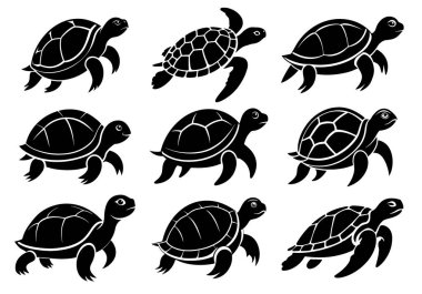 Kaplumbağa vektör silueti çizimi. Beyaz arkaplanda deniz kaplumbağası vektör silueti çizimi