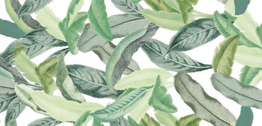 Tasarım, tekstil, duvar kağıdı, ambalaj kağıdı, web tasarımı için beyaz zemin üzerinde yeşil dalların, yaprakların ve bitkilerin kusursuz suluboya deseni.
