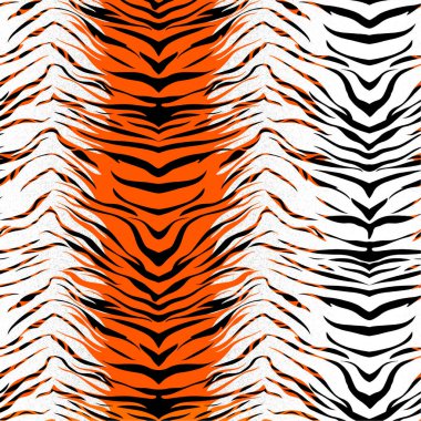 Kaplan pürüzsüz arka plan, vektör illüstrasyonu