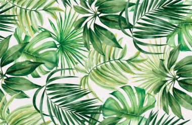 Kusursuz suluboya tropikal yapraklar, palmiye yaprakları. Beyaz arkaplanda suluboya çizimi.