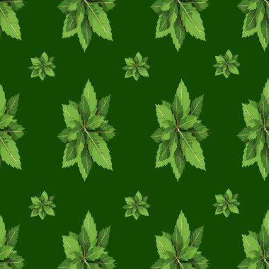 Renkli yapraklarla suluboya desenli. Renkli yaprakları olan güzel bir botanik geçmişi var. Botanik sanatı. Çiçek deseni. dizayn.