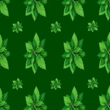 Beyaz üzerinde yeşil yapraklar. Kusursuz.