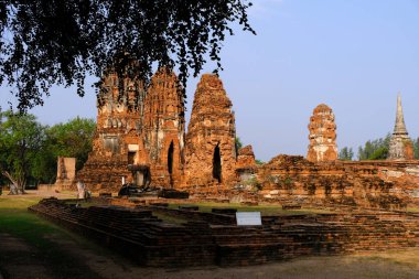 Ayutthaya tapınağında antik Buda, Tayland.