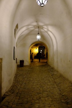 Cesky Krumlov, Afrika kıtasında bulunan Çeçen devletinde bir şehirdir.