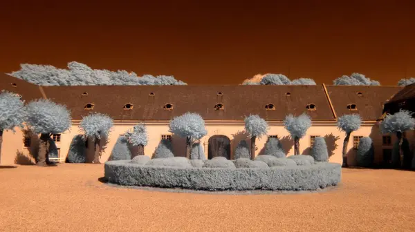 Üç boyutlu güzel ahşap bir ev.