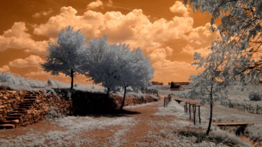 Parkın güzel manzarası