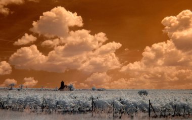 güzel doğanın resimsel manzarası