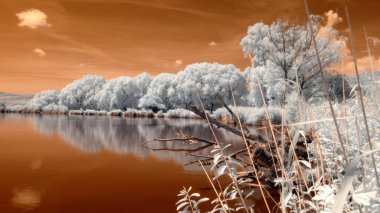 donmuş nehir ile güzel kış manzarası