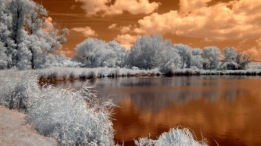 Parkın kış manzarası.