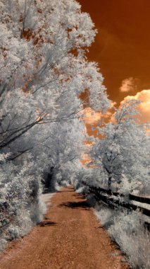 sonbahar parkta güzel gün batımı