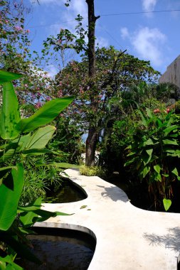 Otelin güzel bahçesi.